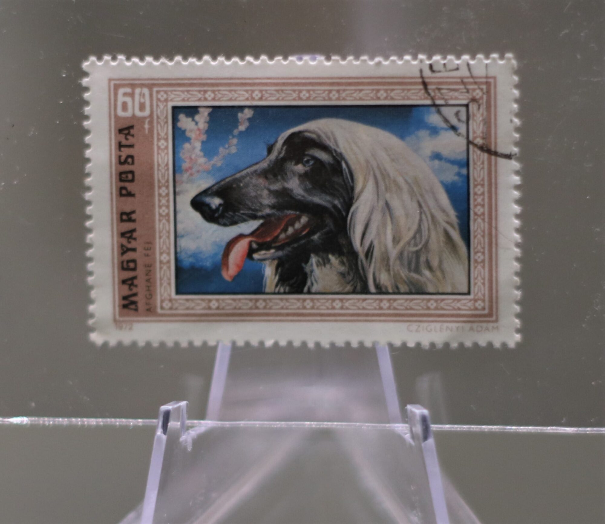 Close up of a postage stamp featuring the head of an Afghan hound in profile with its tongue out. Text reads Magyar Posta 68.