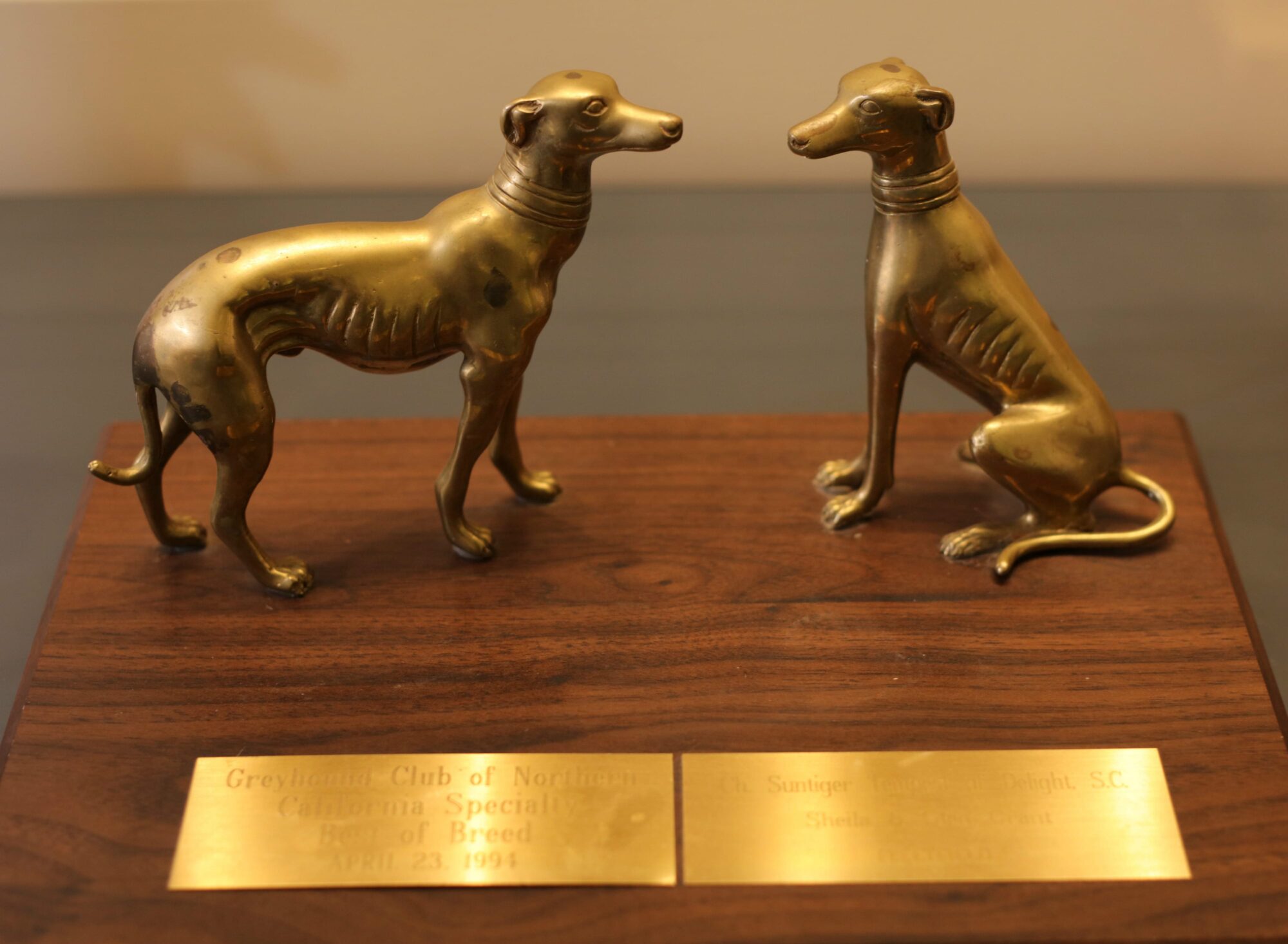 A flat wooden plaque that serves as a pedestal for two brass greyhounds in profile, one standing and one sitting.