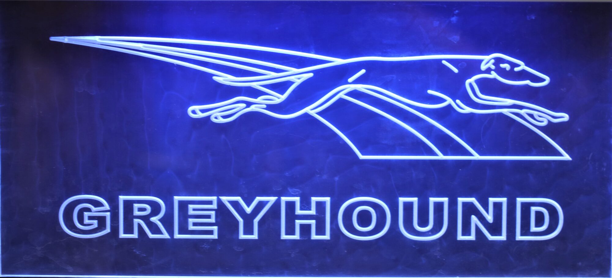 Neon Greyhound bus sign shining blue.