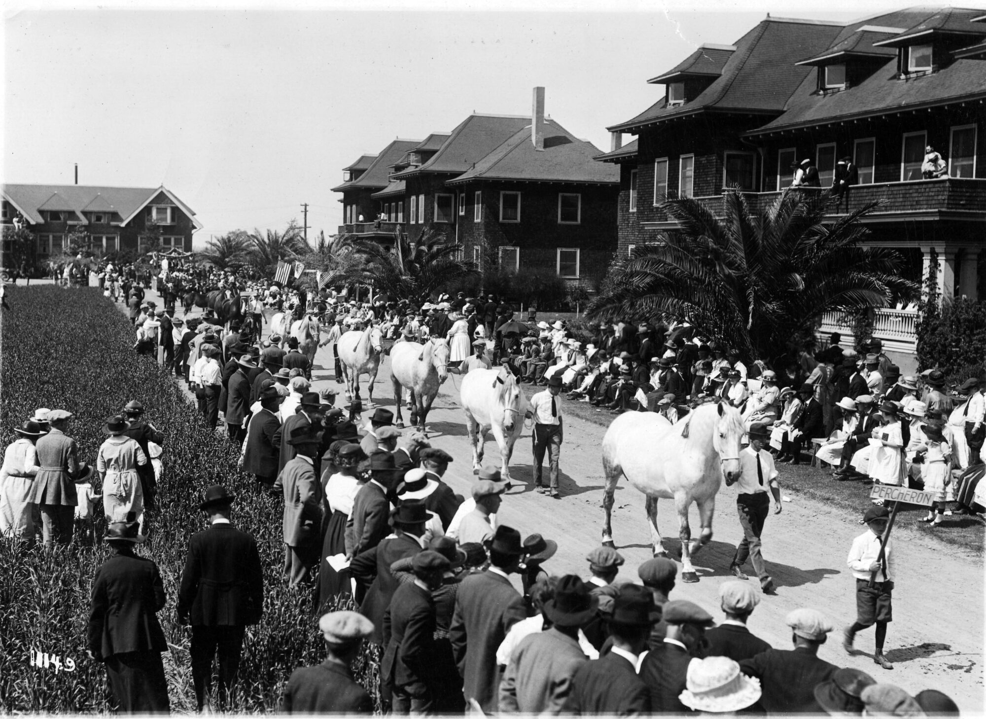 Horses being led down a street of onlookers with campus buildings behind them