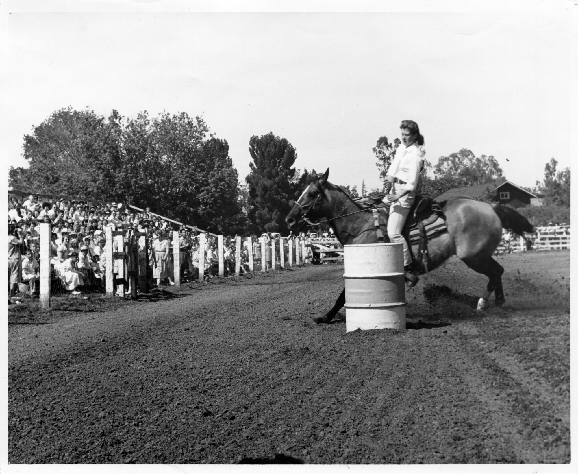 Horse being ridden around a barrel with onlookers in nearby stands