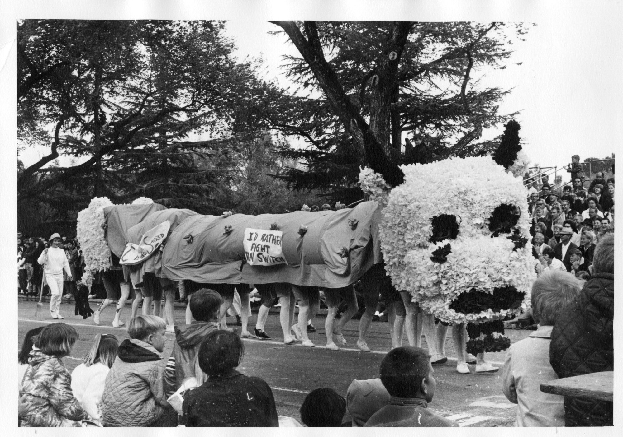 Large papier-mâché cow head carried by multiple people hidden beneath a fabric covering