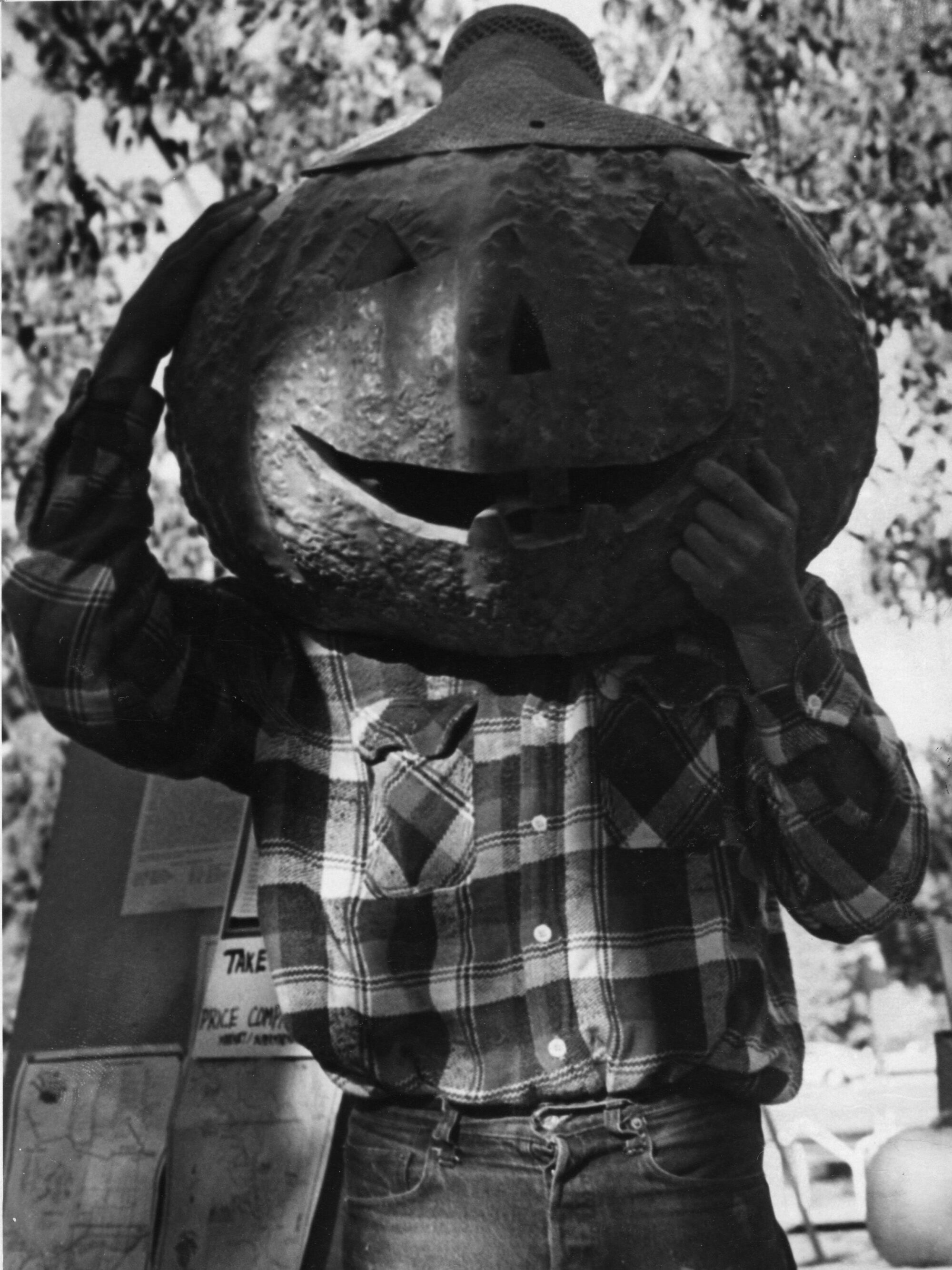 Man in plaid wearing a large jack-o-lantern head