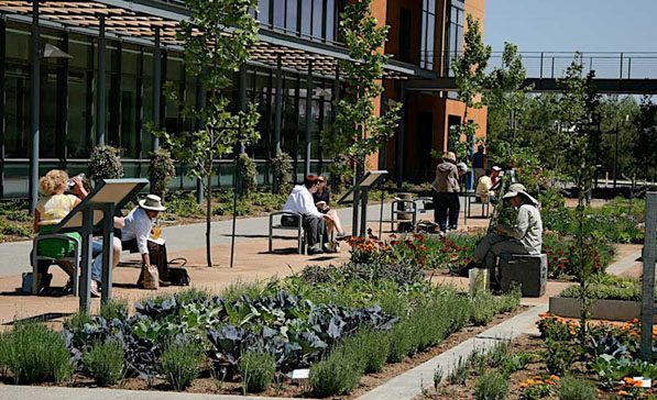 Low-lying plants in rectangular beds outside a brick and glass building, visitors sitting on benches between them.