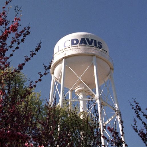 water tower with tree