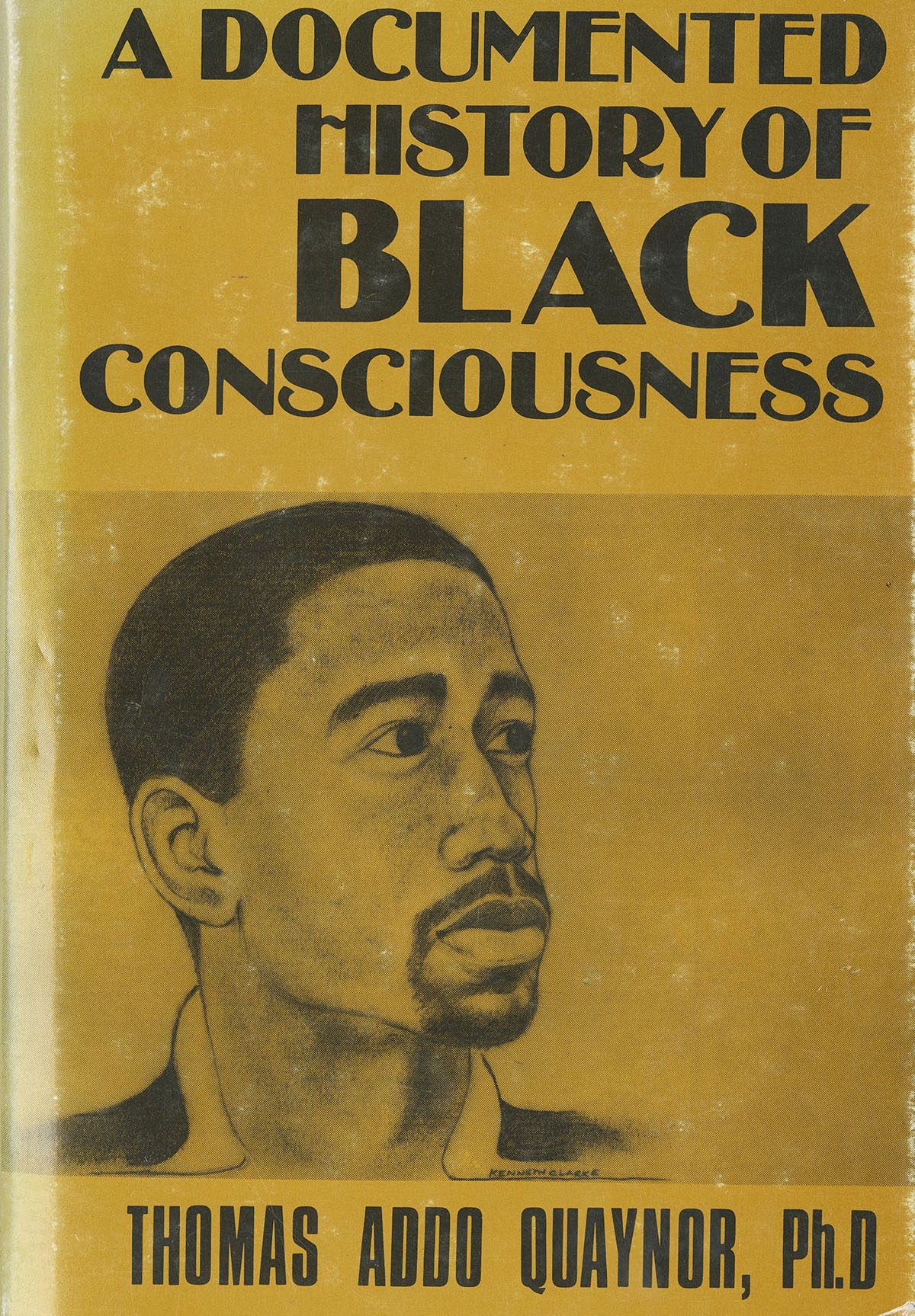 Front cover of the book A Documented History of Black Consciousness.