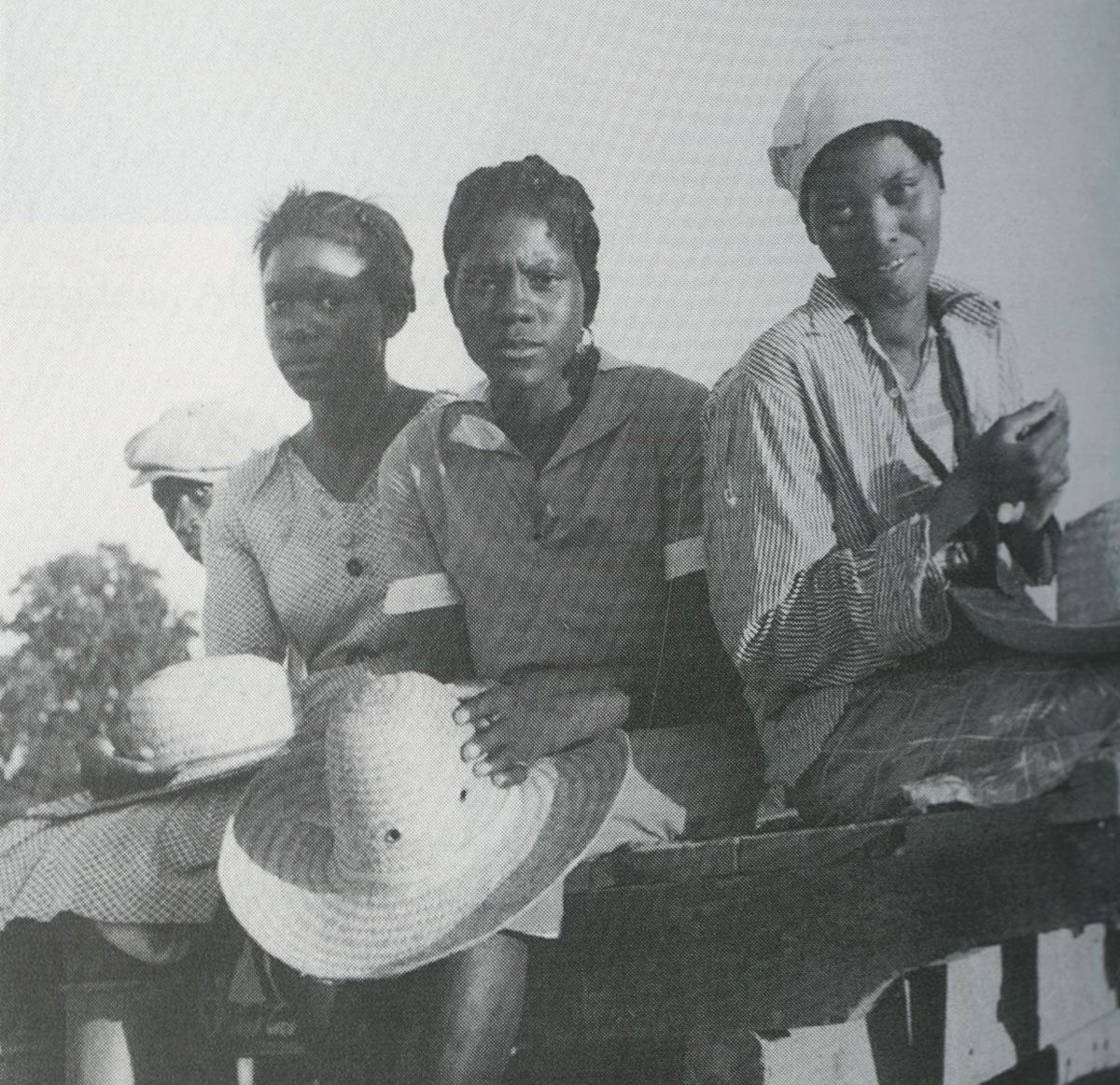 An image from the book A Black Women's History of the United States.