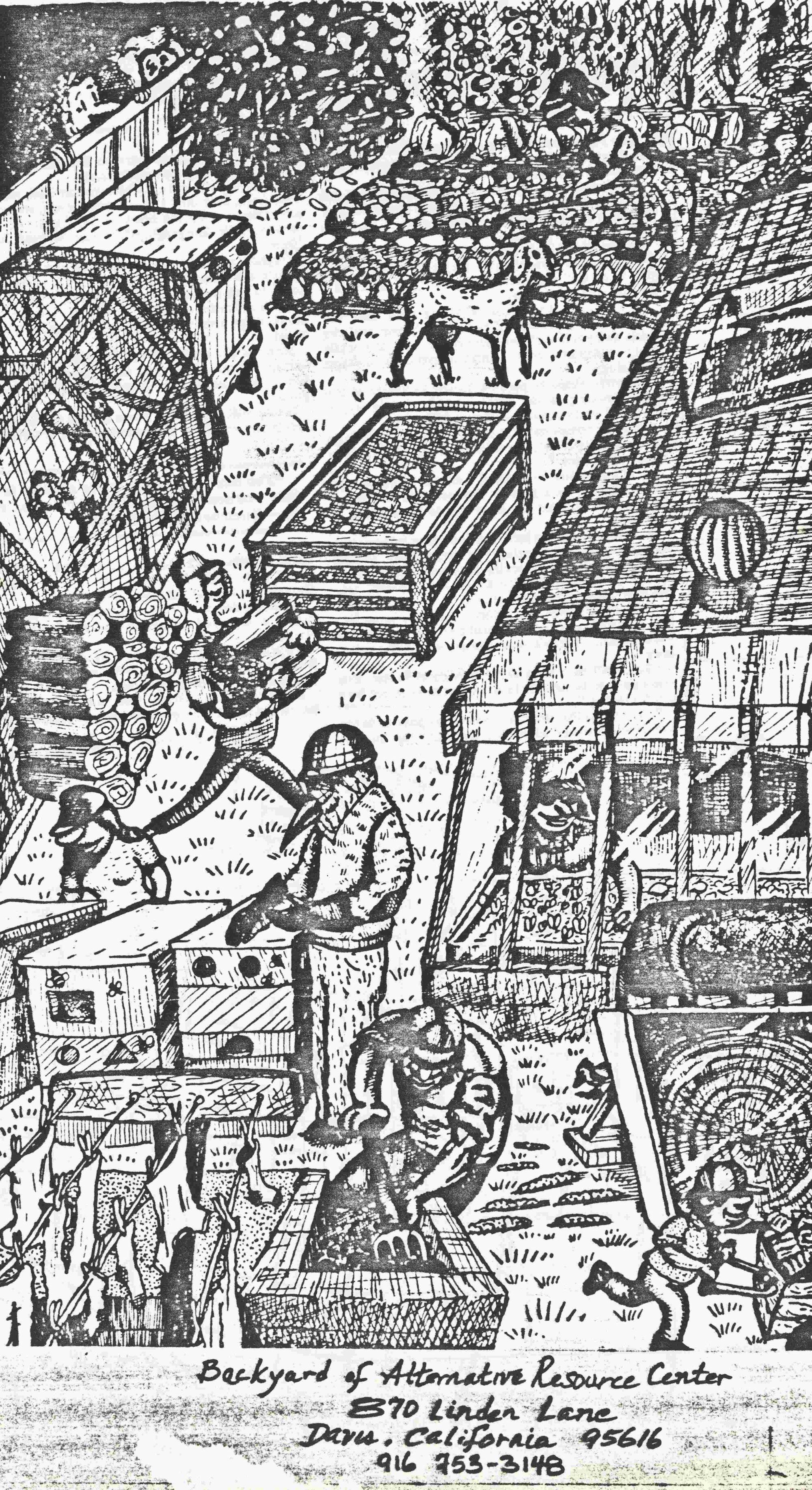 A black-and-white sketch of the backyard includes a farm animal; a pile of lumber and a person carrying logs; a chicken coop; and a person pushing a wheelbarrow.  Text at the bottom reads "Backyard of Alternative Resource Center 870 Linden Lane Davis, California 95616. 916 753-3148".