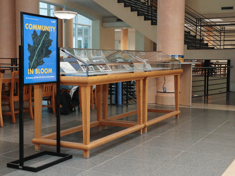 exhibit case with sign to left that reads Community in Bloom"