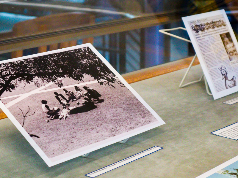 photos from arboretum exhibit