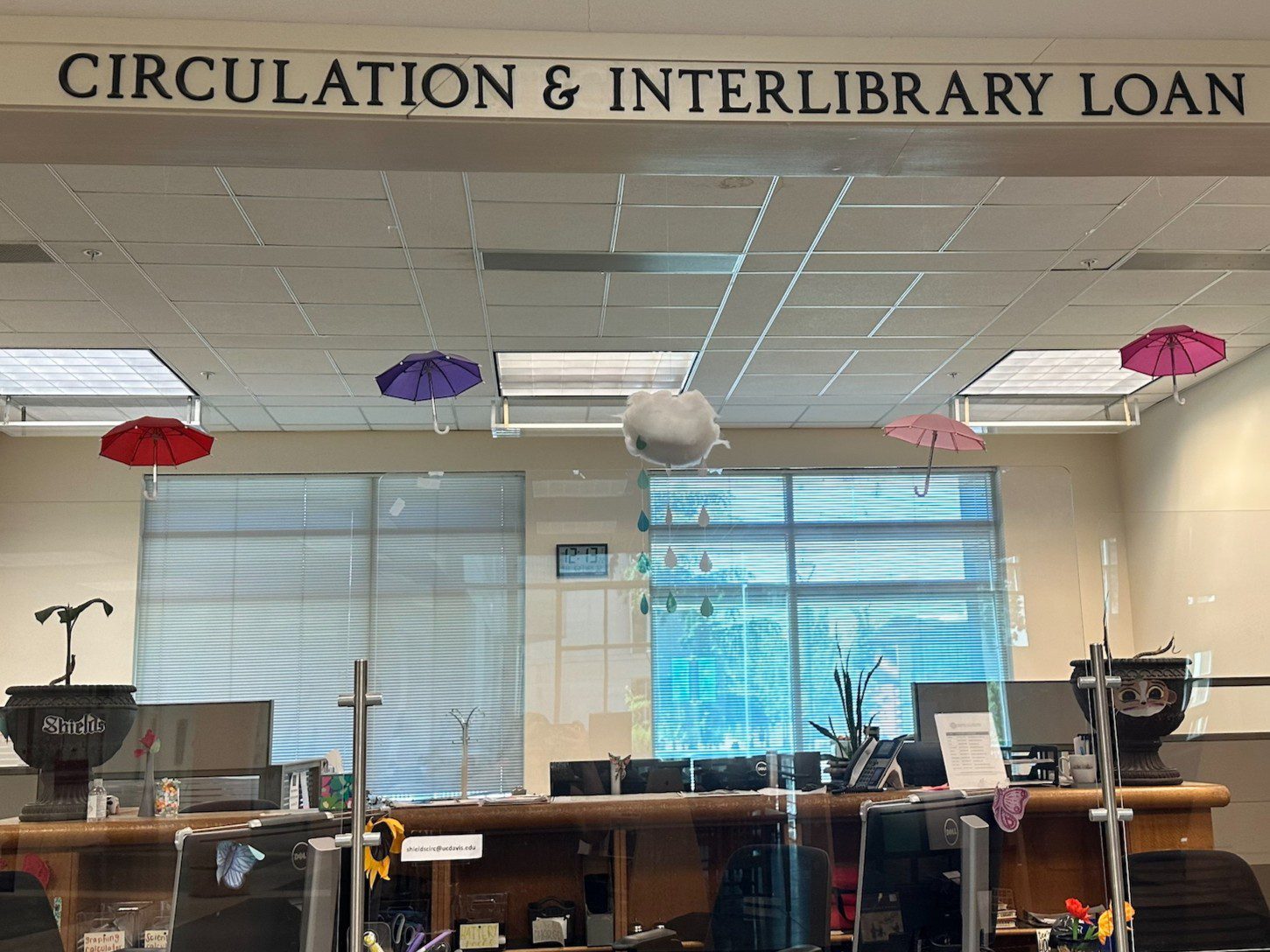 Circulation Desk at Shields Library with red, purple and pink umbrellas and puffy rainclouds hanging from the ceiling