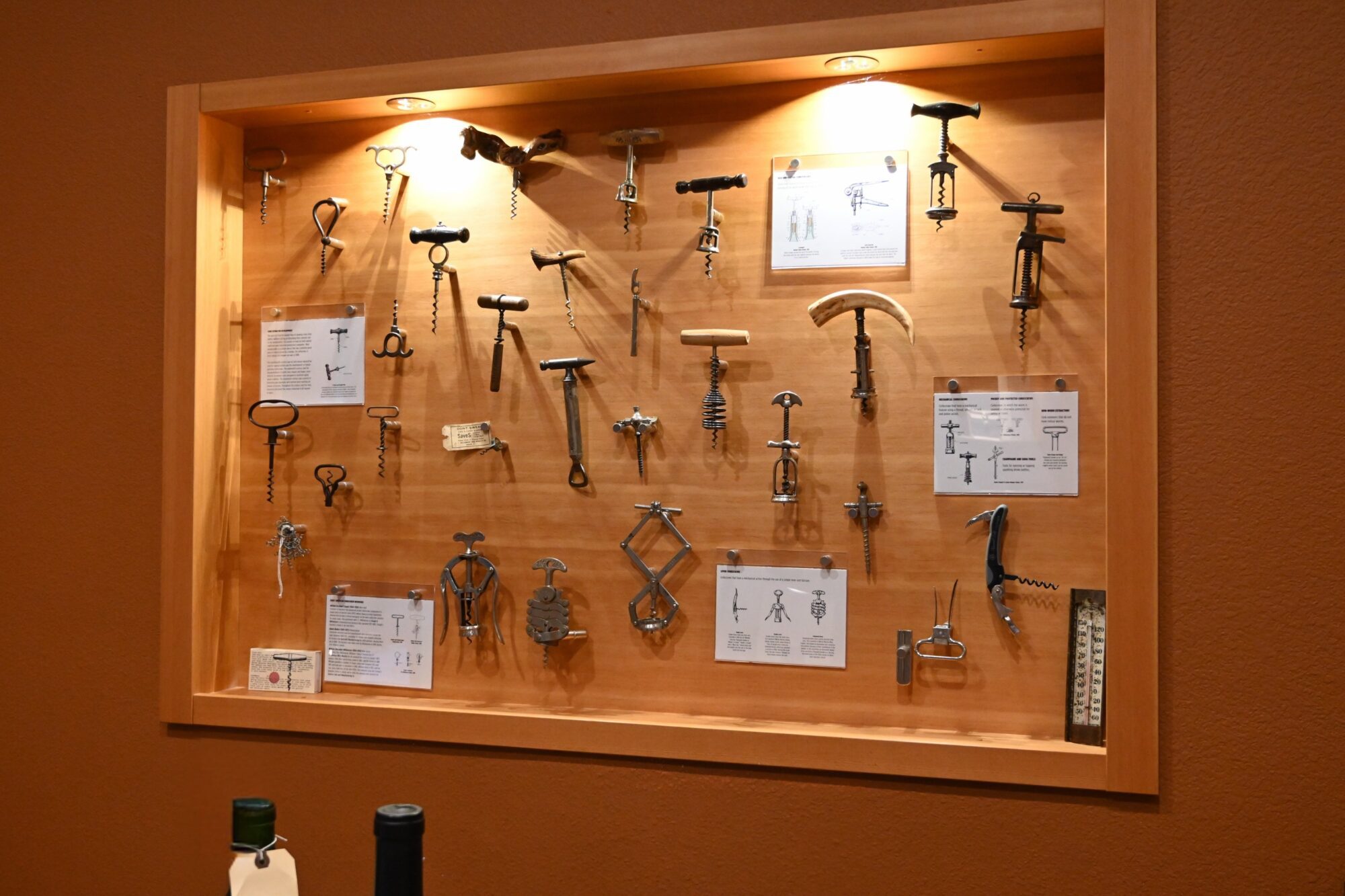 A framed lightbox showcases a variety of historical corkscrews.