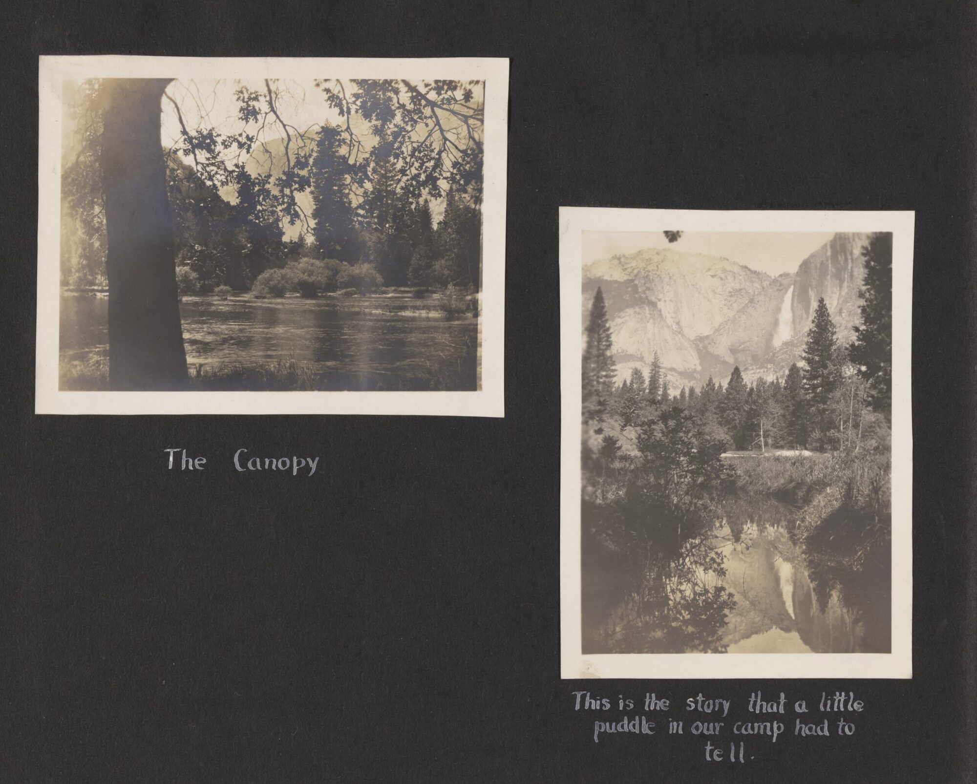 A scan of Page 10 of the photograph album with two black and white photographs of nature.