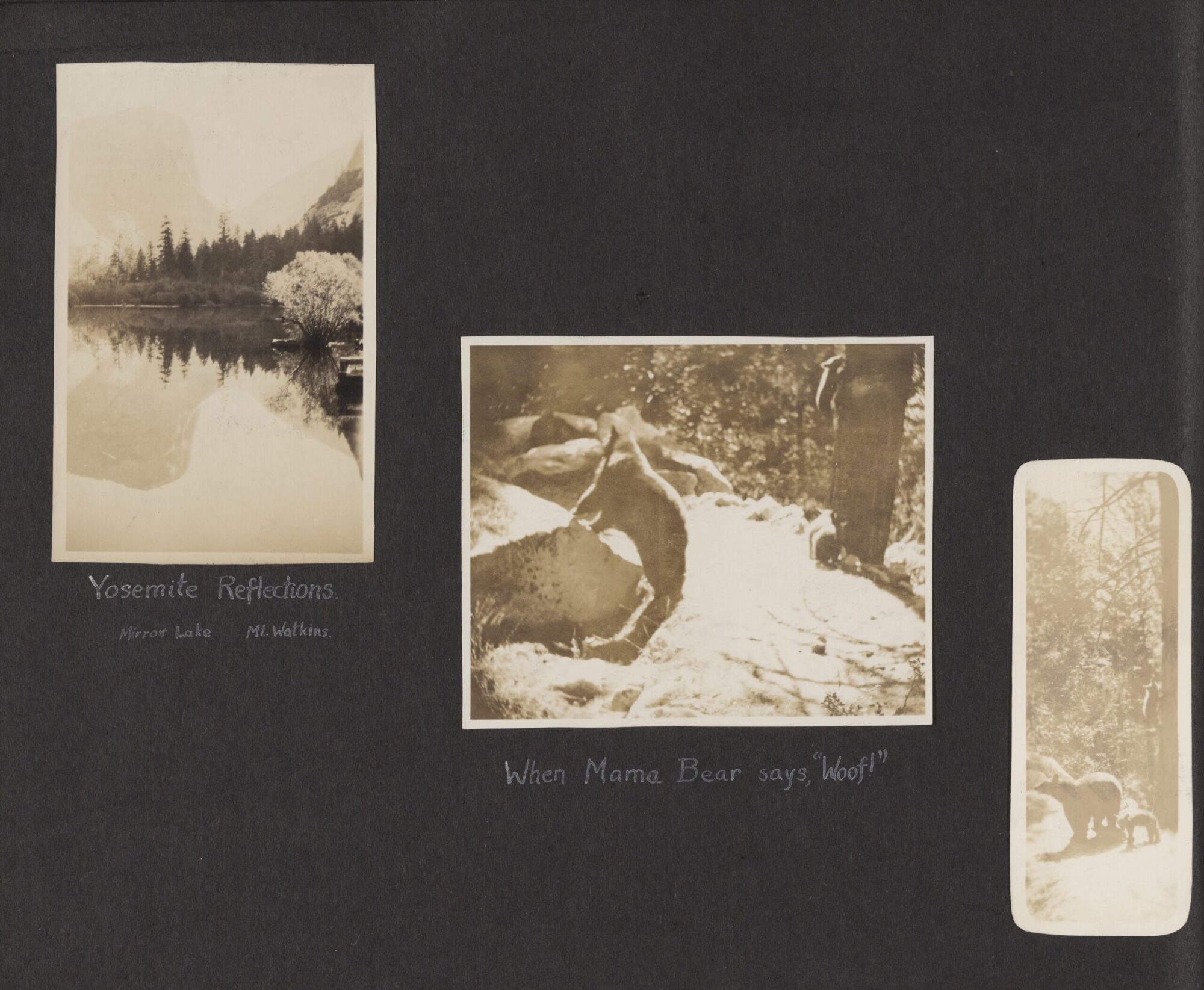 A scan of Page 24 of the photograph album with three black and white photographs. Two are of bears, one is of a lake.