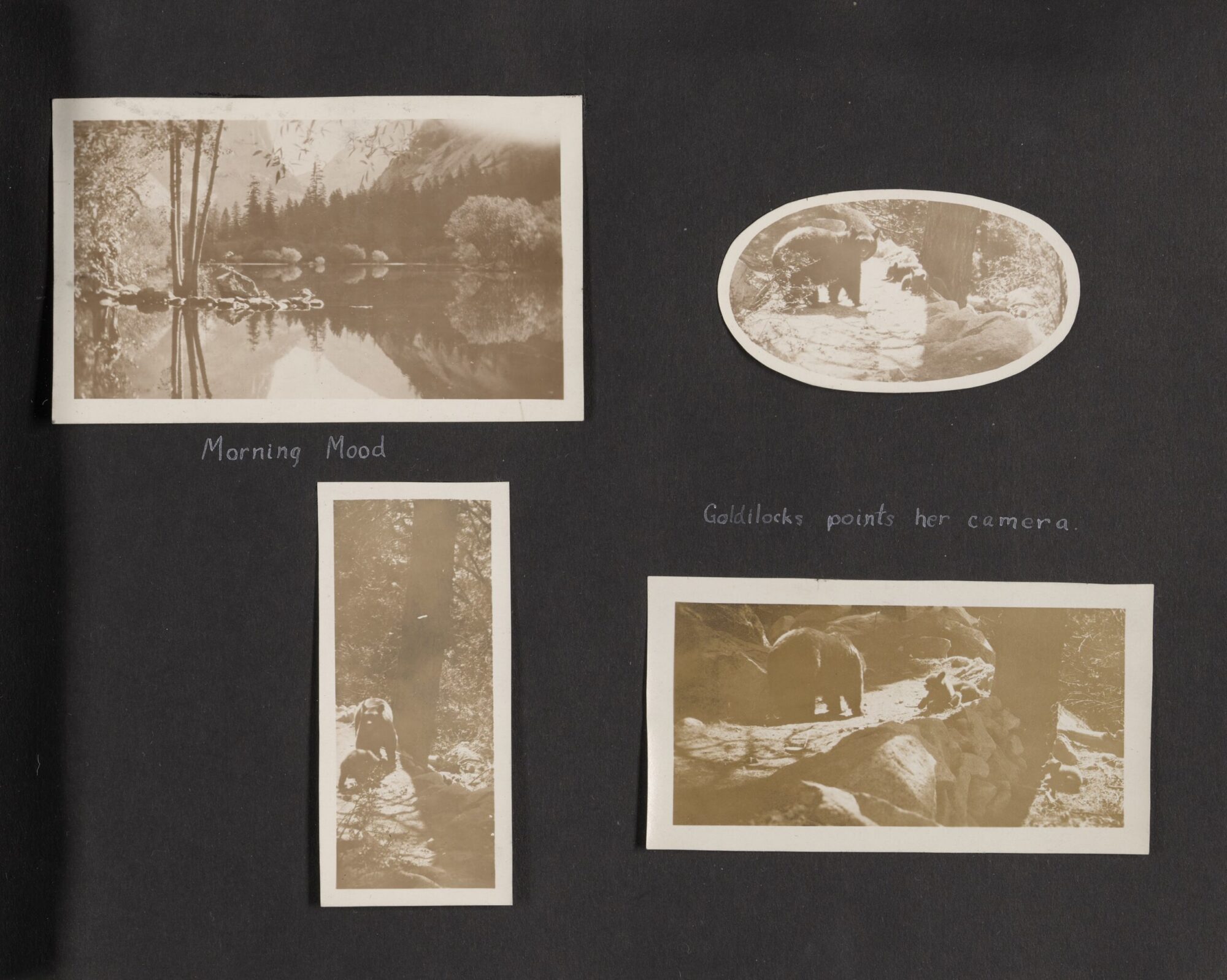 A scan of Page 25 of the photograph album with four black and white photographs of nature. Three of the photographs contain bears, one is of a body of water.