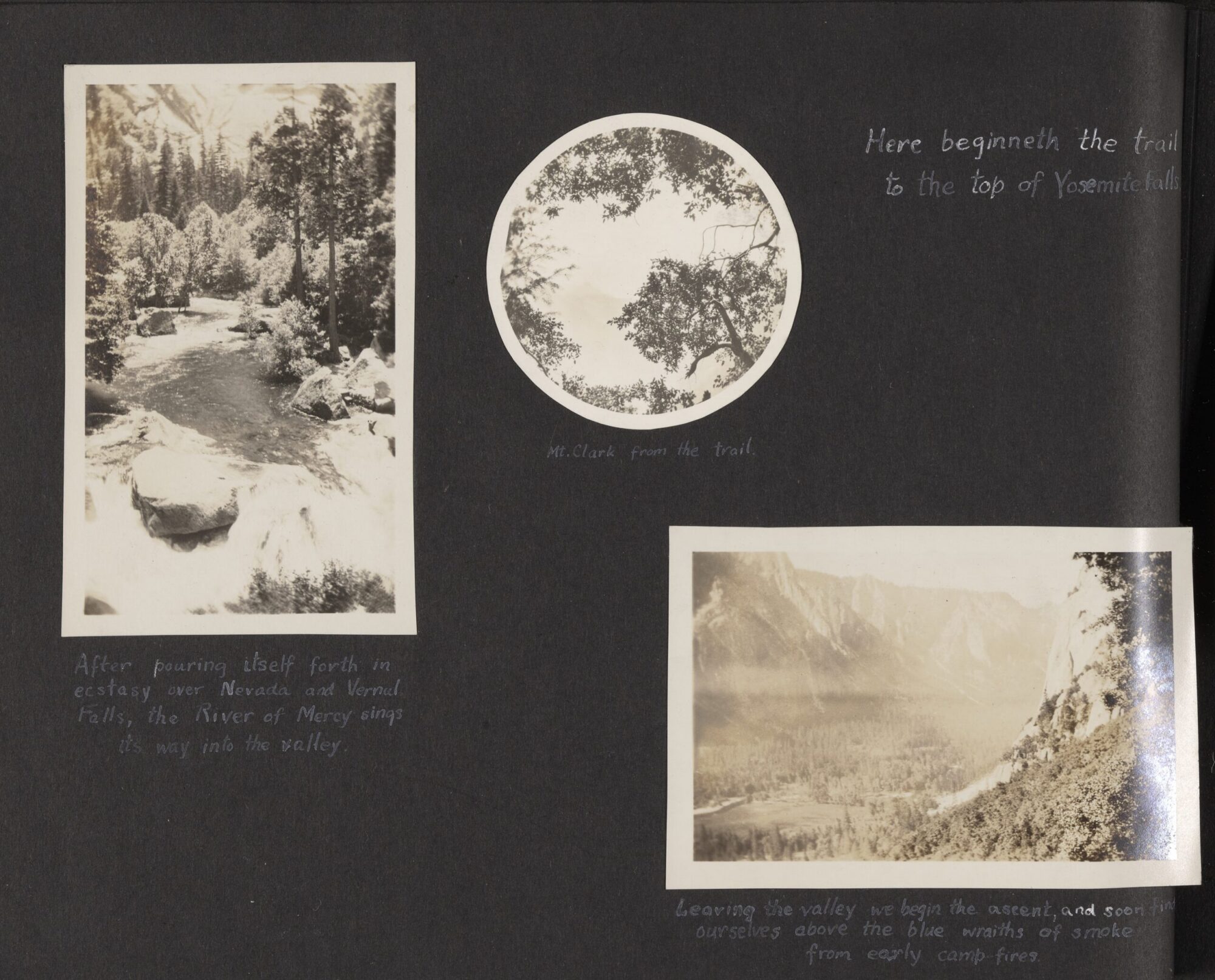 A scan of a page of the photograph album with three black and white photographs of nature.