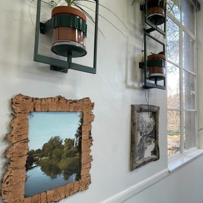 "Arboretum" group study room wall with installation of potted plants and a framed photo of the Arboretum lake.